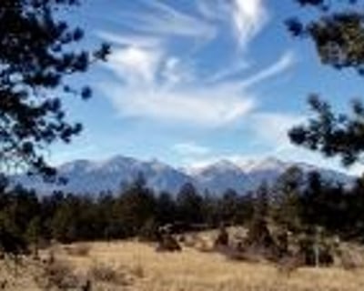 Guided Mining History Tour in Salida