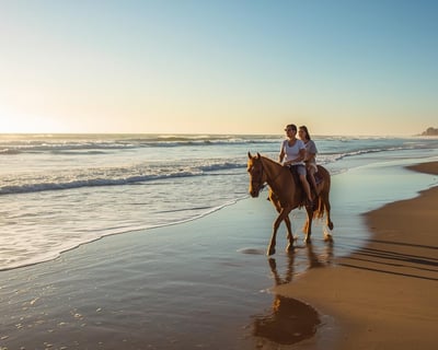 Evening Guided Horseback Riding Tour in Aguadilla