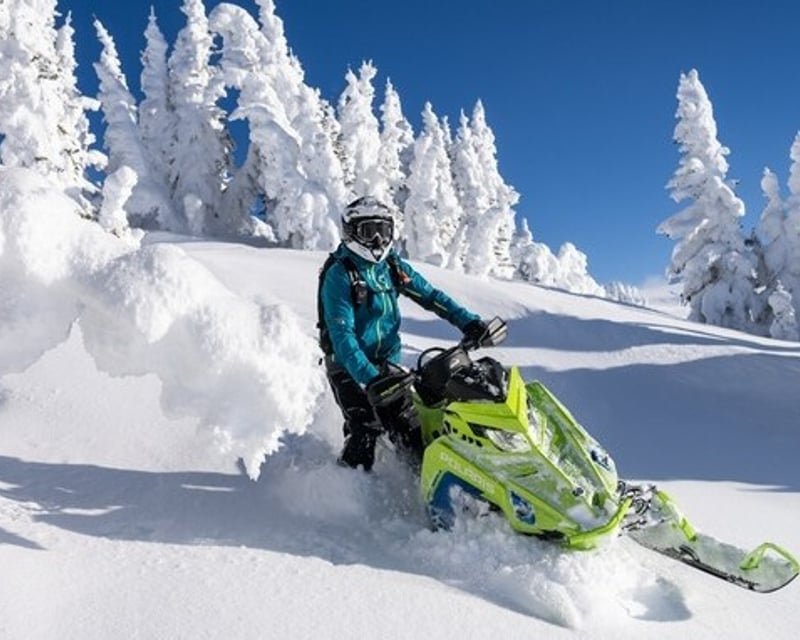 Half-Day Snowmobile Rental in Bighorn National Forest