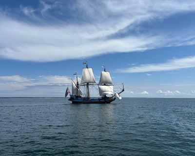 Private Whale Watching Charter in Provincetown