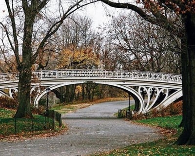Metropolitan Museum & Central Park Private Tour