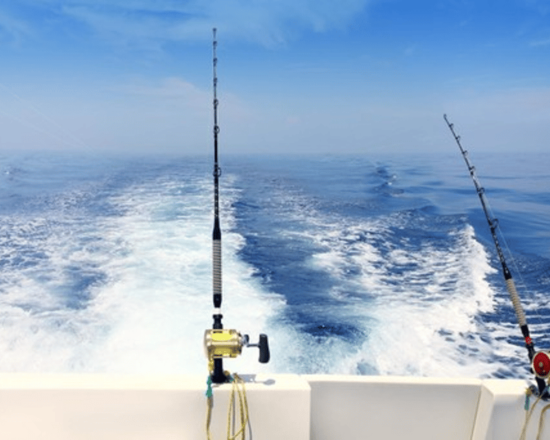 Bonita Springs Deep Sea Fishing Charter