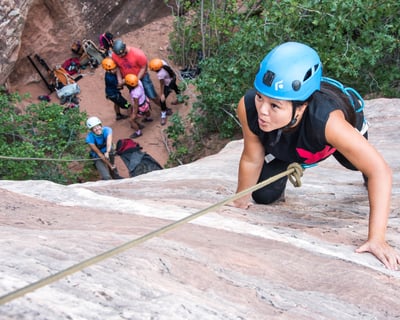 Half-Day Guided Rock Climbing in Springdale