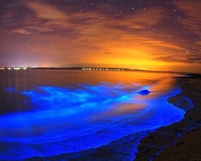 2-Hour Bioluminescence Kayak Tour in Port Canaveral