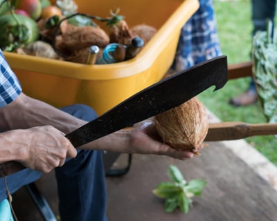 North Shore Coconut Workshop & Sightseeing Tour