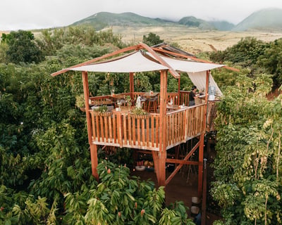 Explore a Maui Chocolate Farm Tour With Dinner