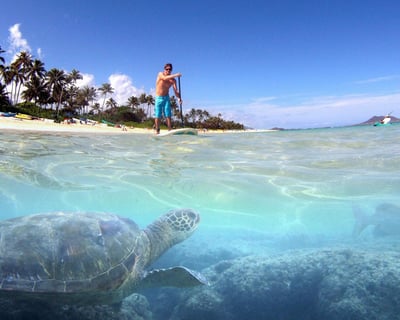 Kailua Paddleboard with Gear & Permits Included