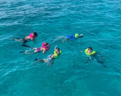 Key West Coral Reef Snorkeling Charter