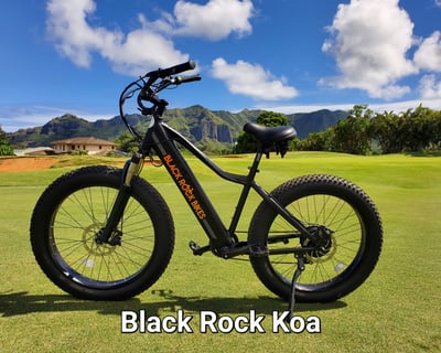 Full-Day E-Bike Rental in Koloa