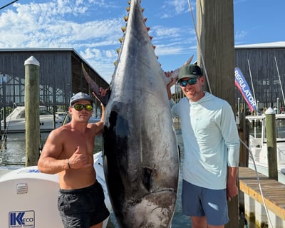 Orange Beach Deep Sea Fishing Charter