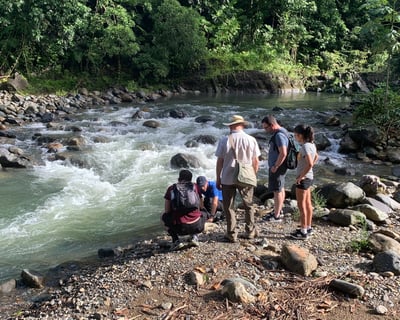 Guided El Yunque Rainforest & Luquillo Beach Tour