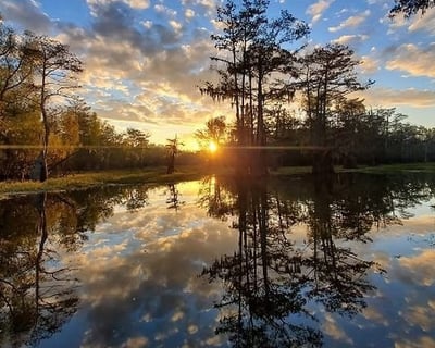 Private 2-Hour Atchafalaya Basin Photography Tour