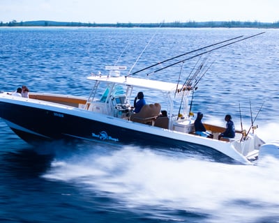 Providenciales 4-Hour Bottom Fishing Charter