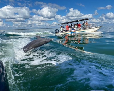 Private Marco Island Dolphin Tour, 2 Hours