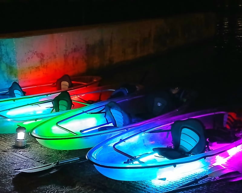 Sunset Glow Kayak Tour Through Key West Mangroves