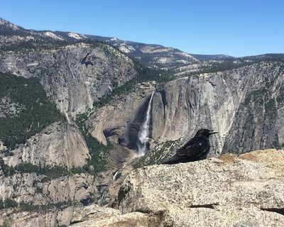 Explore Yosemite Valley & Glacier Point Adaptive Tour
