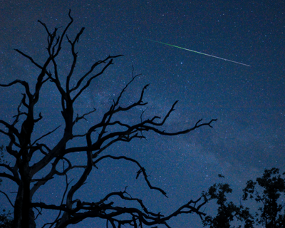 Meteor Shower Kayaking Tour in Homosassa