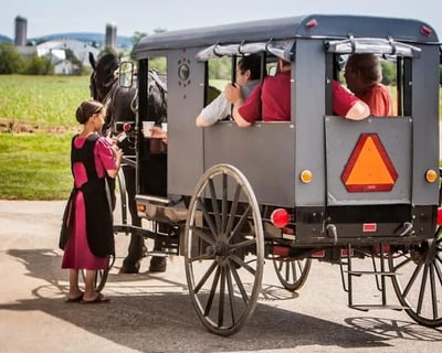 Private Amish Country Buggy Tour in Bird in Hand