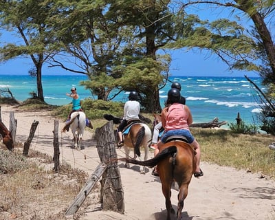 North Shore Oceanfront Horseback Ride