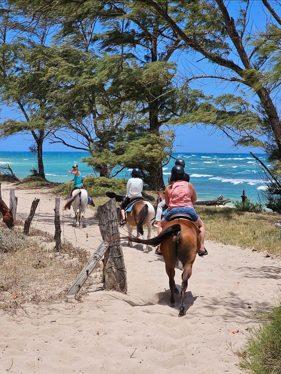 North Shore Oceanfront Horseback Ride