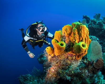 Guided 2-Tank Fajardo Reef Dive