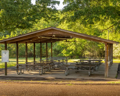 Host a Half-Day Pavilion Rental at Shelby Farms