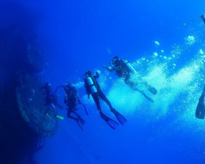 Pompano Beach Morning Shipwreck & Reef Dive