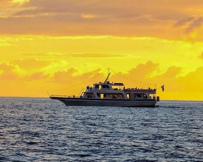 Waikiki Sunset Dinner Cruise With Chef