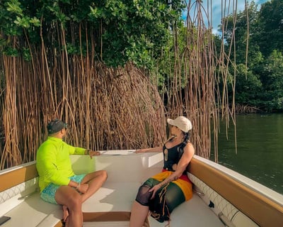 Guided Mangrove Boat Cruise in Carolina