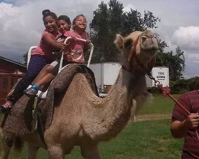 All-Day Petting Zoo Admission in Ocala