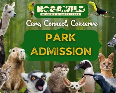 North Georgia Wildlife & Safari Park Admission