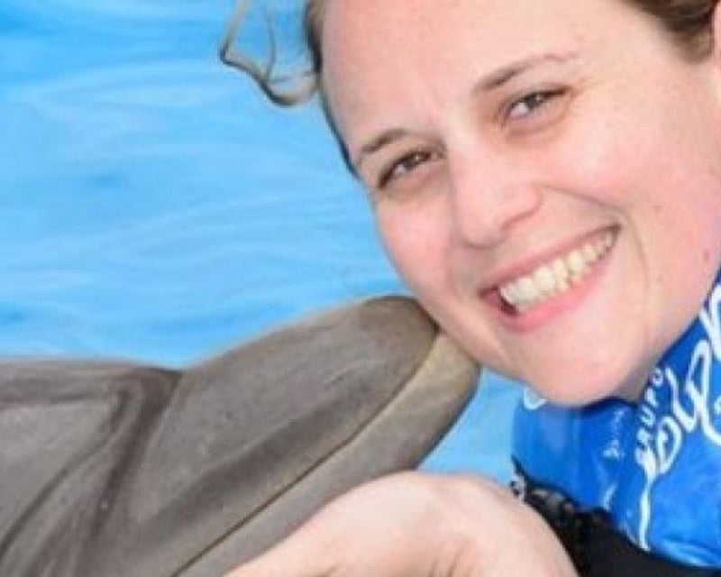 Family Dolphin Meet & Greet with Certified Trainers
