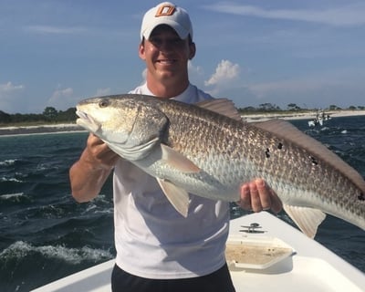 Panama City Beach Fishing & Sightseeing Charter