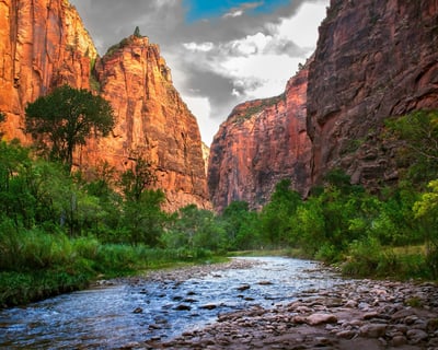 Guided Full-Day Zion National Park Hiking Tour