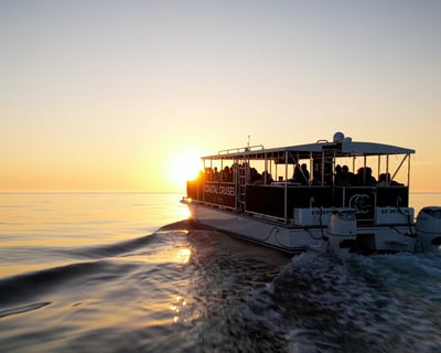 Dolphin Watching & Shell Key Sunset Cruise