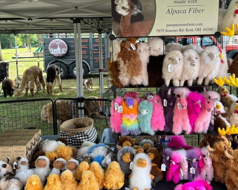 Fall Artisan Vendor Market & Farm Animals in Kent