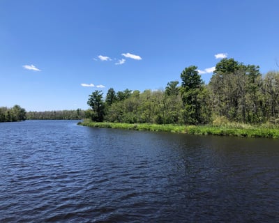 4-Hour Black River Nature Cruise From Wilmington
