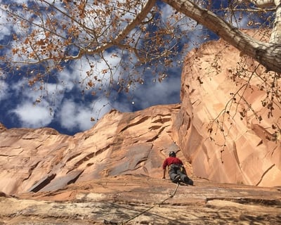 Moab 4-Hour Rock Climbing Tour