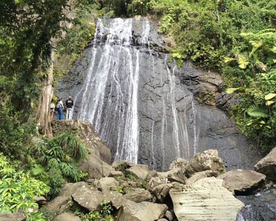 El Yunque National Forest Guided Tour