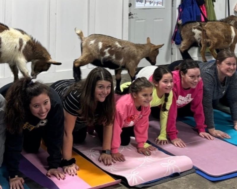 Goat Yoga & Farm Animal Visit in Kent, OH