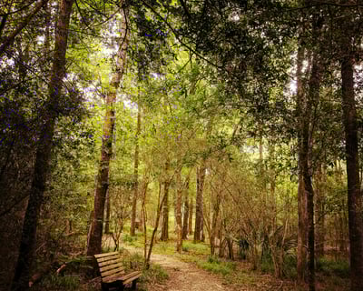 Armand Bayou Nature Center Entry Ticket