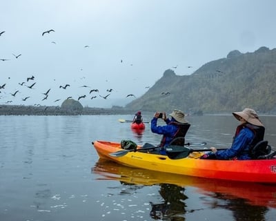 Guided Russian River Estuary Kayak Tour