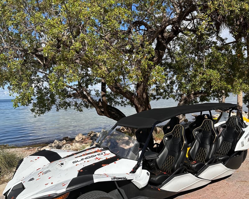 Miami 6-Seat Slingshot Rental