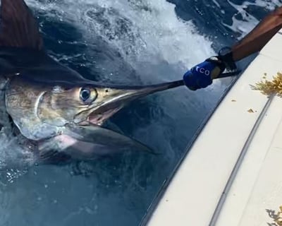 San Juan Deep Sea Fishing Charter