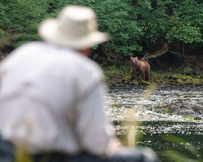 Private Bear Viewing Tour From Juneau