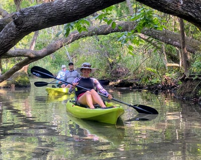 Guided Wildlife Kayak Tour in Homosassa