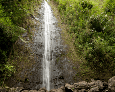 Diamond Head Crater & Manoa Falls Guided Hike