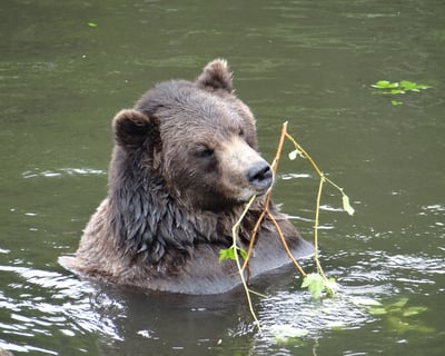 Small Group Sitka Tour with Scenic Stops