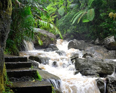 3.5-Hour Rainforest & River Tour at Las Tinajas