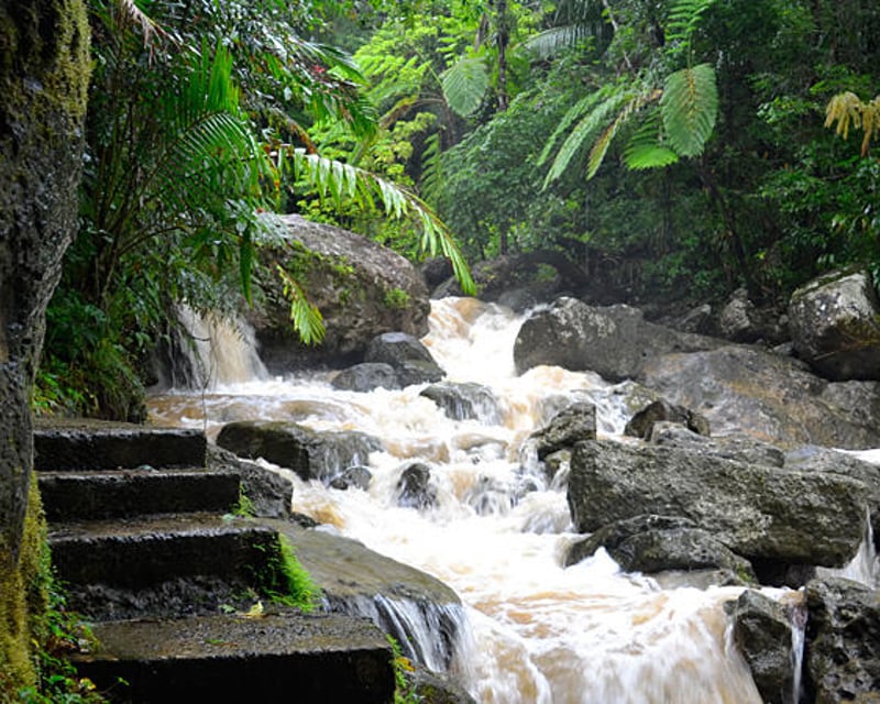 3.5-Hour Rainforest & River Tour at Las Tinajas